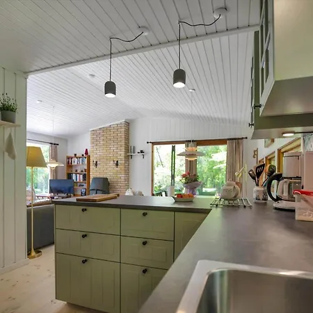 10027-rorvig-karnoesvaenge-19 * Rørvig